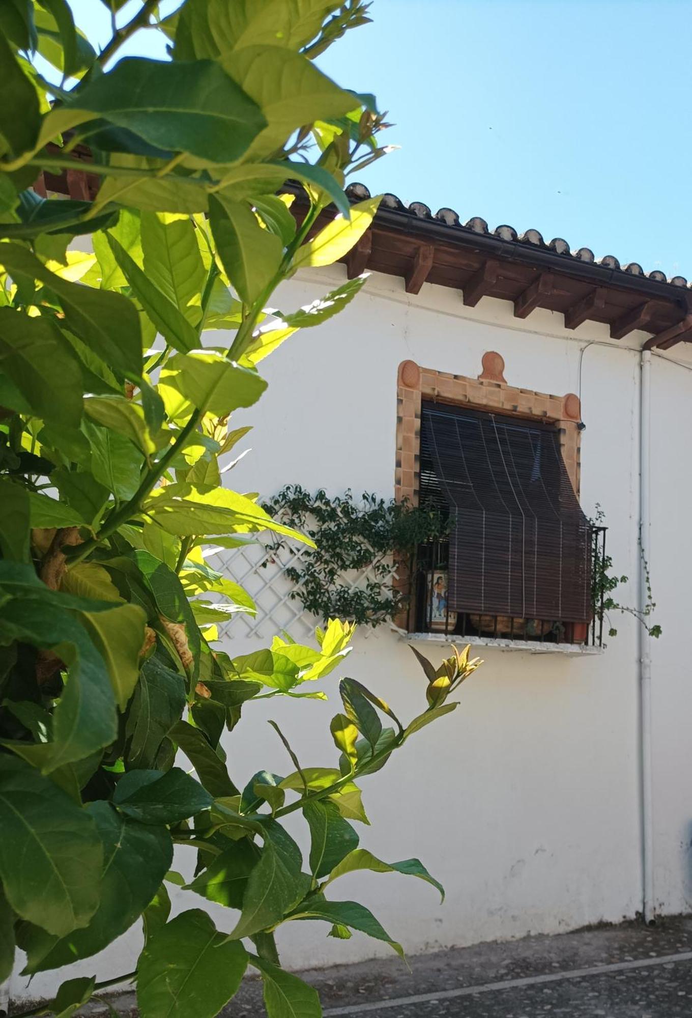 La Solana, Alojamiento Y Alfareria Arenas de San Pedro Eksteriør bilde